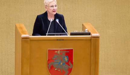 I. Degutienė: negalima prisirišti prie rusiškų taisyklių