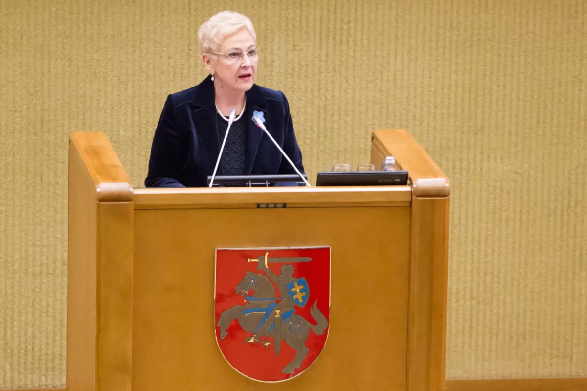 I. Degutienė: negalima prisirišti prie rusiškų taisyklių