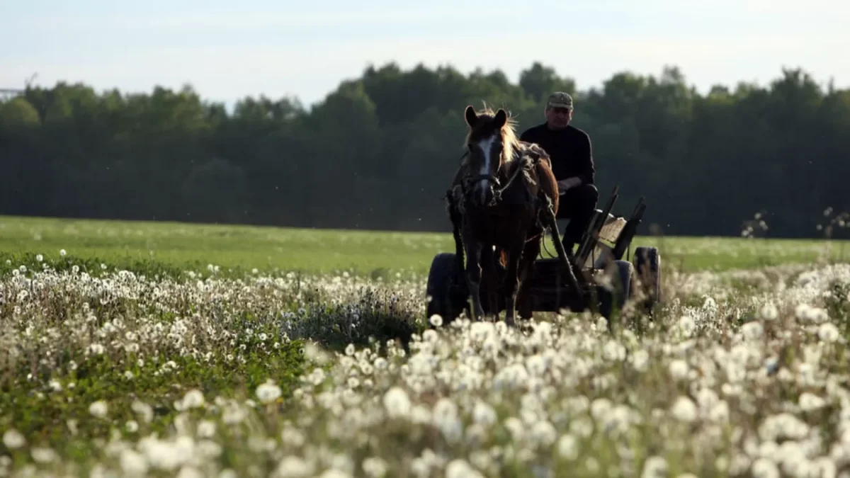 Seimas: draudimas užsieniečiams įsigyti žemės tebegalioja