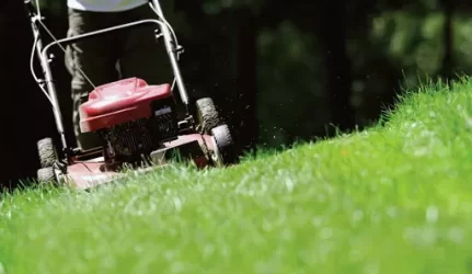 Kiemų šienavimas: žolės – iki pažastų