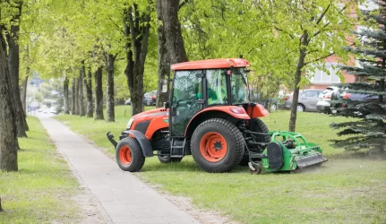 Vilniaus kiemuose ir aikštėse veši žolės