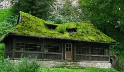 Saugomos teritorijos kratosi apleistų statinių