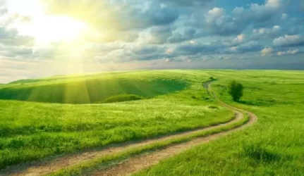 Baus apleistų žemių ir nenušienautų pievų savininkus