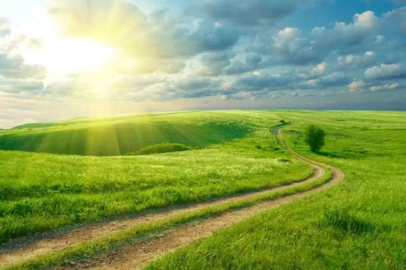 Baus apleistų žemių ir nenušienautų pievų savininkus