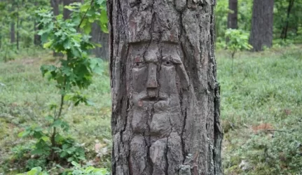 Rekonstruos Sveikatos parką