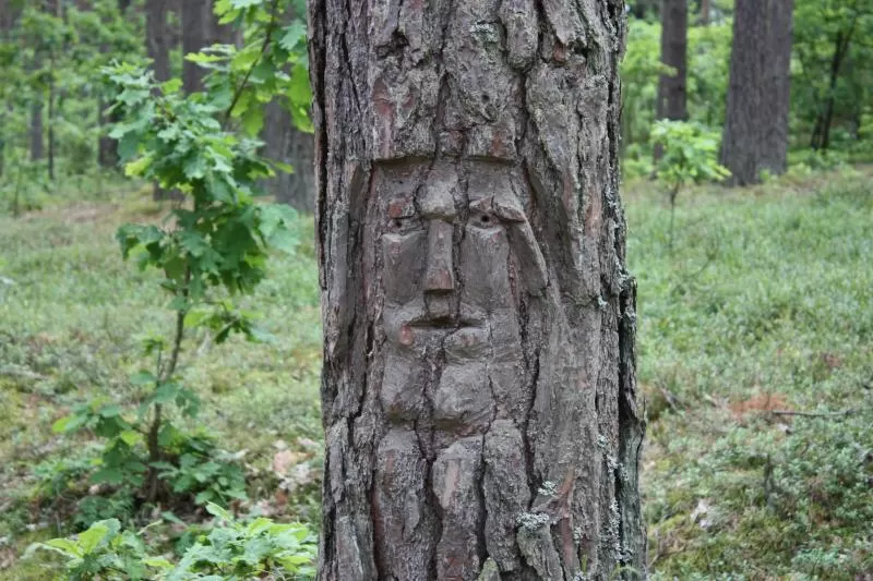 Rekonstruos Sveikatos parką