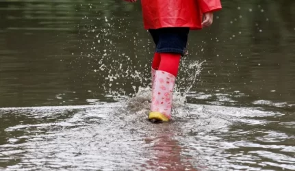 Gyvenamųjų namų kvartale naudos lietaus vandenį
