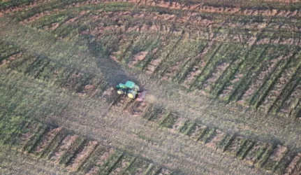 Dėl žemės pardavimo užsieniečiams siūlo keisti Konstituciją