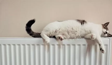 Šildymo sezonas bus brangesnis