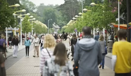 J.Basanavičiaus gatvėje iškirs 90 kaštonų