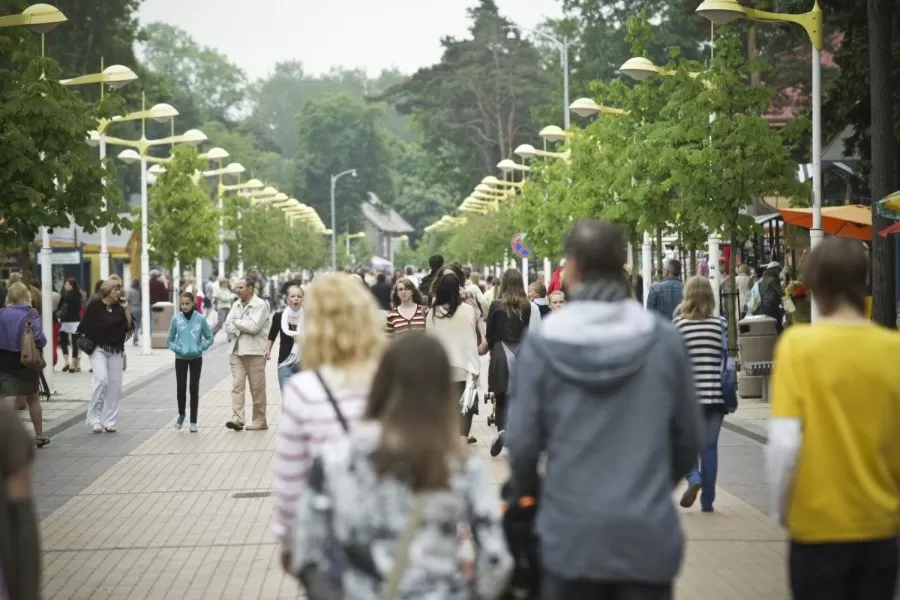 J.Basanavičiaus gatvėje iškirs 90 kaštonų