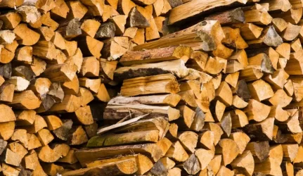 Malkos – ant bangos