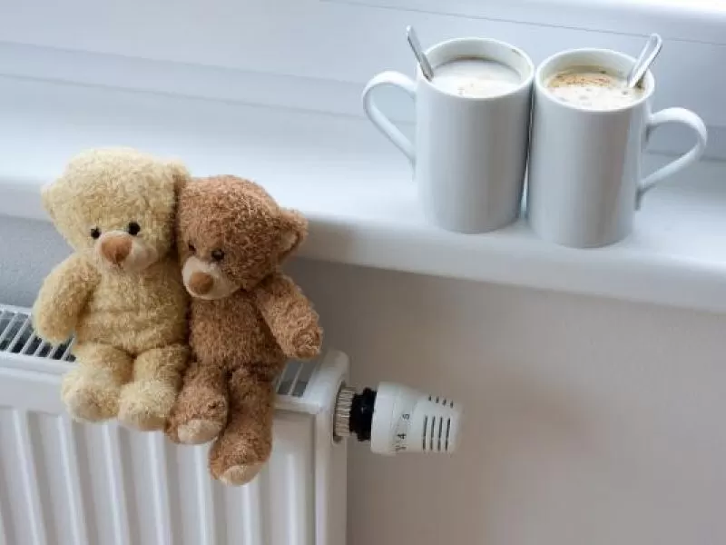 Prezidentė: šilumos ūkio pertvarka – mažesnės sąskaitos