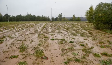 Pritaria siūlymui griežčiau bausti už žemės nepriežiūrą