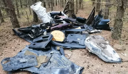 Raginama domėtis kameromis miškuose už 44 mln. Lt