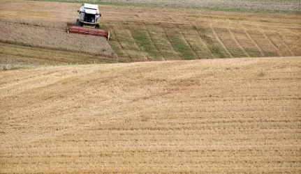 Seimas linkęs toliau drausti žemę parduoti užsieniečiams