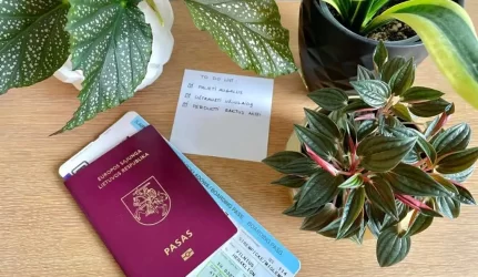 Kaip palikti gėles išvykstant?