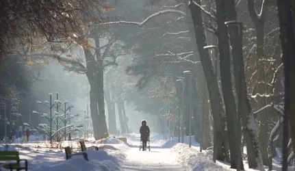 Palangos apšvietimas