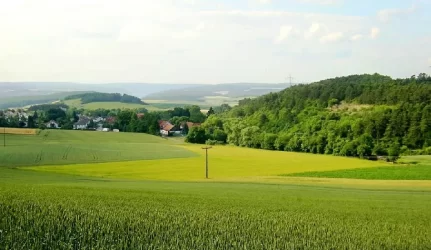 Pratęstas žemės pardavimo užsieniečiams draudimas