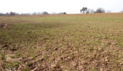 Stringa valstybės žemės pardavimas