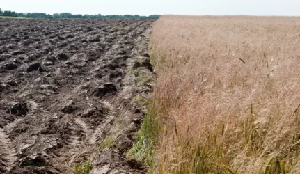 Už valstybės išperkamą žemę miestuose atlygins pinigais