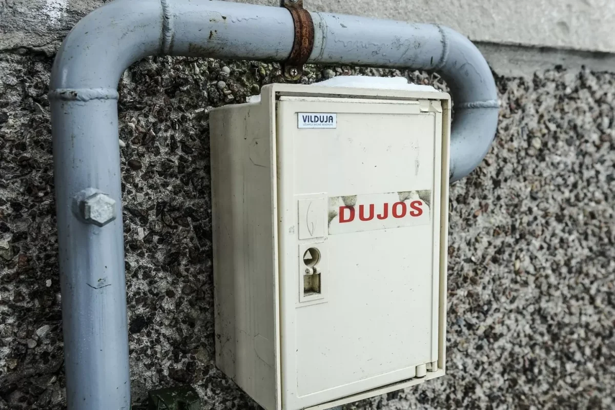 Kitąmet dujų kainos gyventojams nesikeis