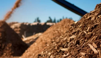 Kuriama birža skatins konkurenciją biokuro rinkoje