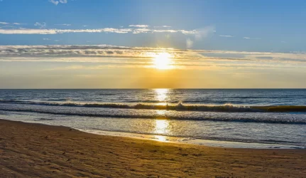 Palangos paplūdimiams vėl bus skirtos smėlio „injekcijos“