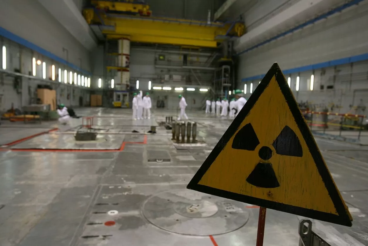 Prezidentė: dėl stringančio IAE uždarymo kaltinti tik „Nukem“ negalima