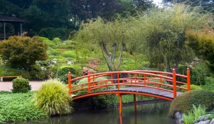 Vilniuje planuojama įrengti japonišką sodą