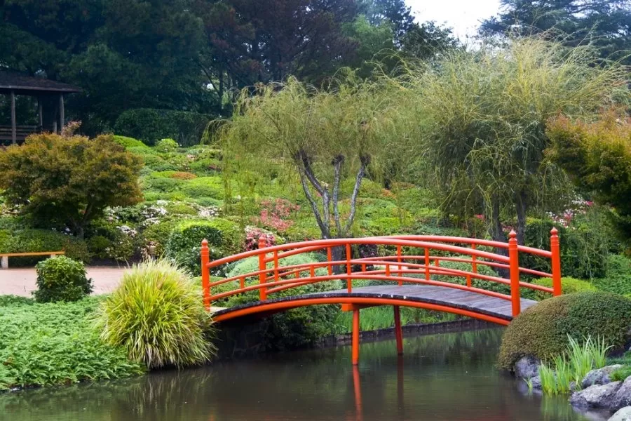 Vilniuje planuojama įrengti japonišką sodą