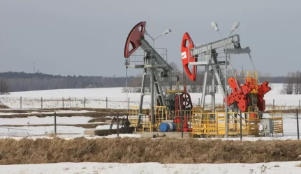 A. Sekmokas: galima išgauti skalūnų dujų už 35 mlrd. eurų