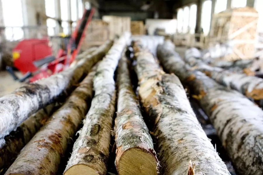 Medienos rinka: lėtėja ar stabilizuojasi?