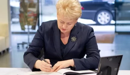 elektros energetikos įstatymas