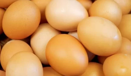 Iš kiaušinių pagamino šviestuvus