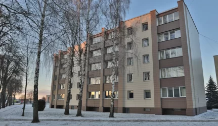 Siūlo drausti prieštarauti renovacijai