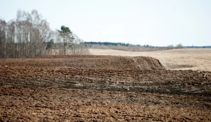 neteisėtai įsigyti sklypai