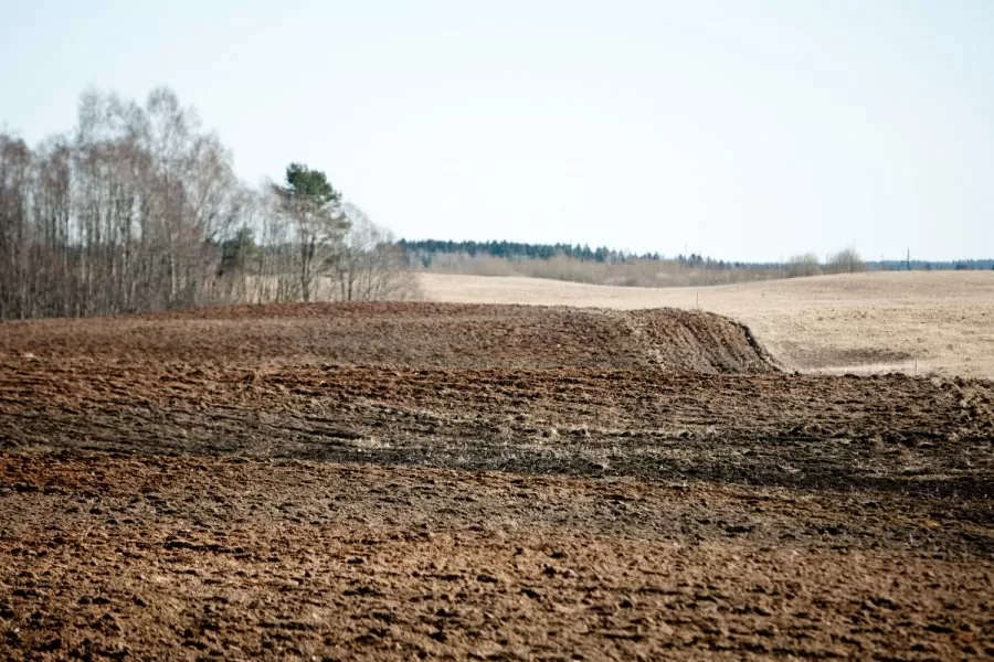 neteisėtai įsigyti sklypai