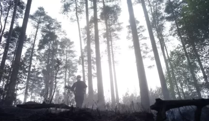 Miško gaisrams stebėti – nauja sistema