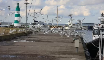 Sutarti dėl tvarkymo plano trukdo neteisėti statiniai