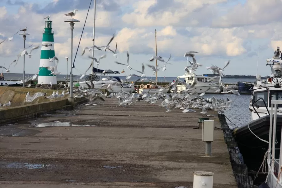 Sutarti dėl tvarkymo plano trukdo neteisėti statiniai