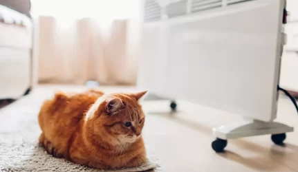 Kaip apsisaugoti nuo gaisro prasidėjus šildymo sezonui