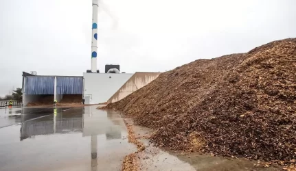 Pradeda veikti biokuro birža