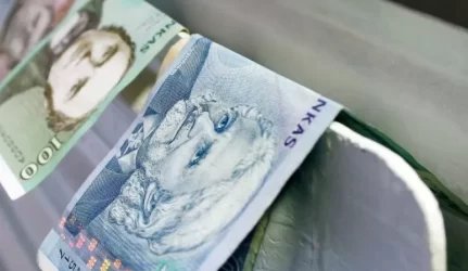 Smulkieji gamintojai šilumą atpigintų trečdaliu?