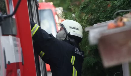 privačių namų krosnys