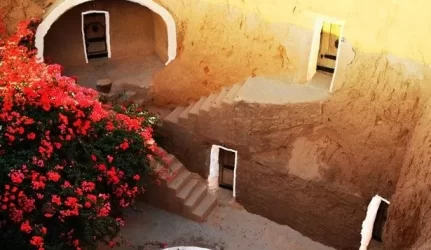 Namai olose, kuriuose būtų smagu apsistoti