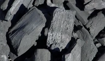 Sutelkė jėgas medžio anglies gamyklos statybai