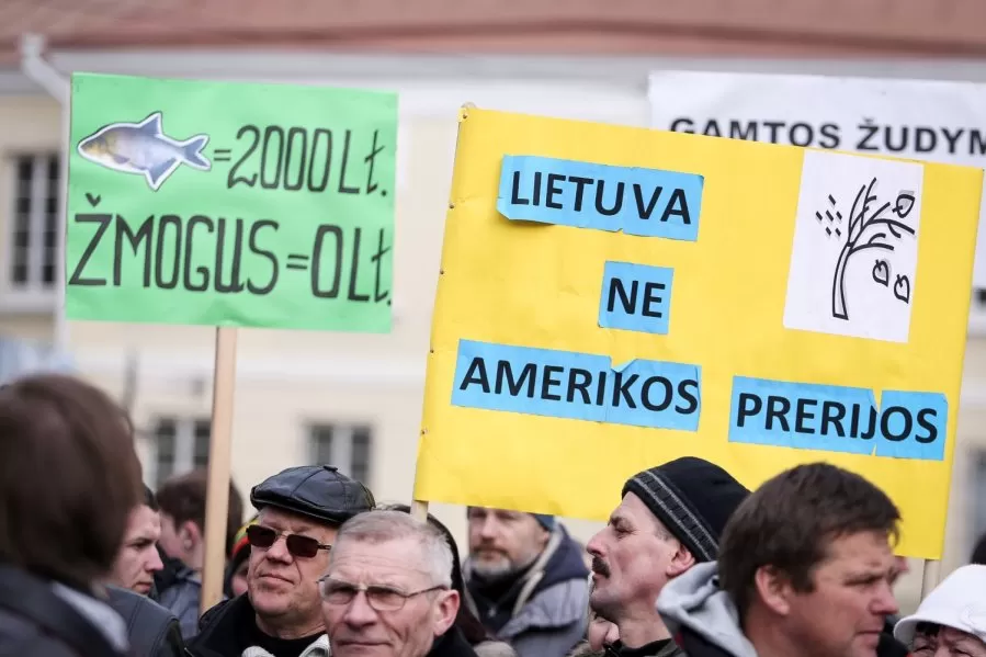 Lietuvos mokslų akademija