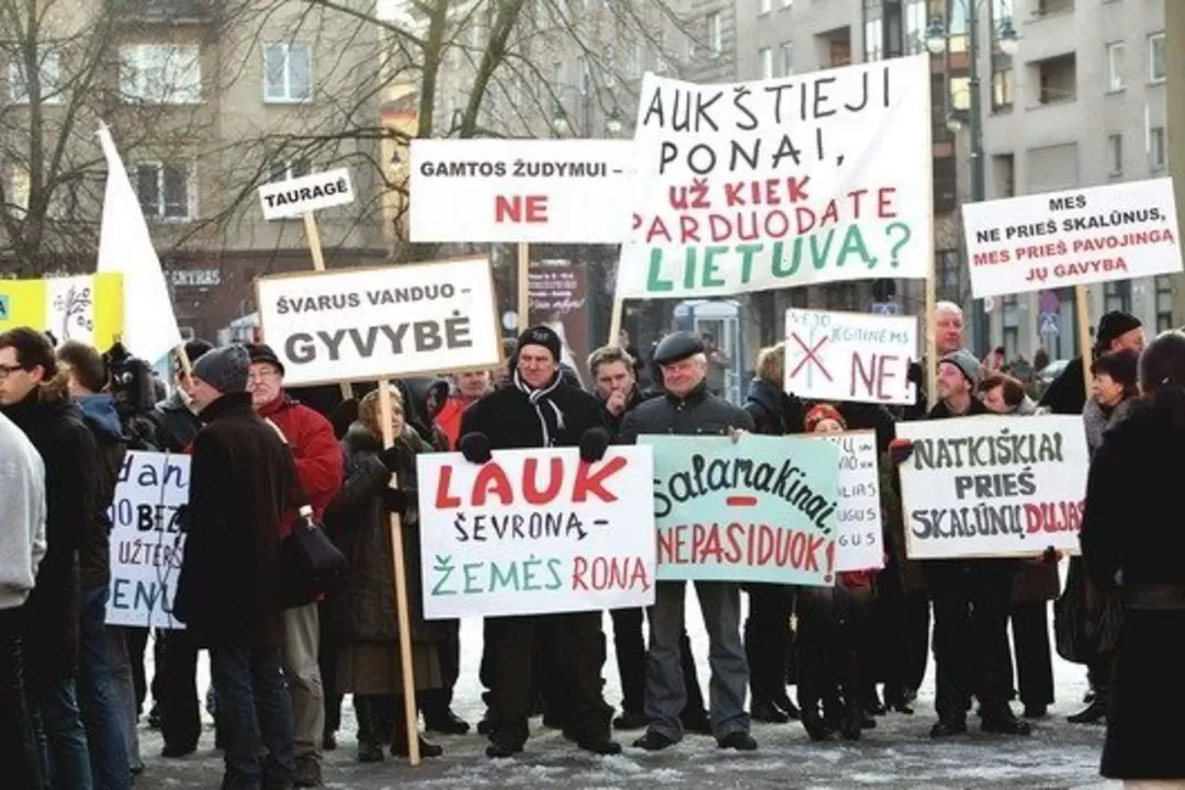 Prezidentės patarėjas apie protestus prieš skalūnus: gaila matyti suklaidintus žmones