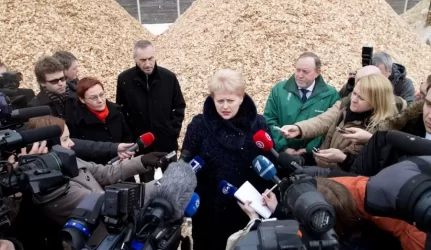 Seimas pritarė D. Grybauskaitės „šildymo vamzdžio“ reformai
